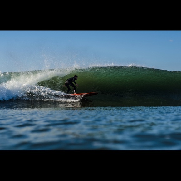 Meet your Posher, Rory - Picture 14 of 15